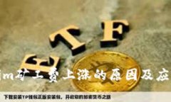 Tokenim矿工费上涨的原因及