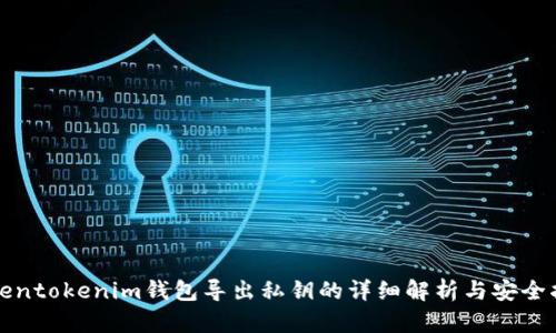 Tokentokenim钱包导出私钥的详细解析与安全指南