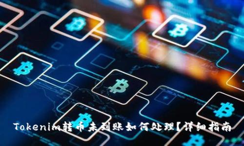 Tokenim转币未到账如何处理？详细指南