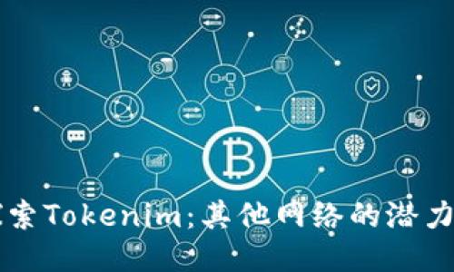 深入探索Tokenim：其他网络的潜力与应用
