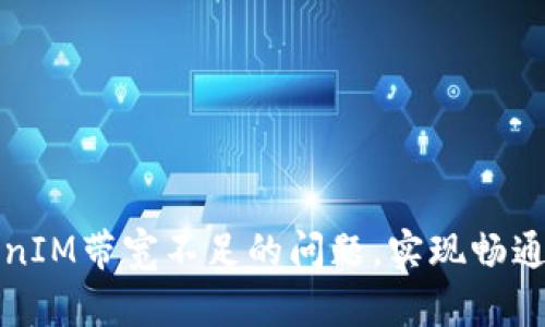 如何解决TokenIM带宽不足的问题，实现畅通的区块链通讯