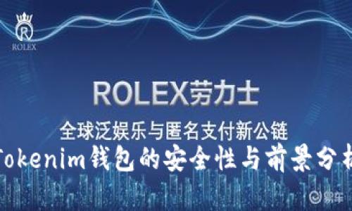 Tokenim钱包的安全性与前景分析