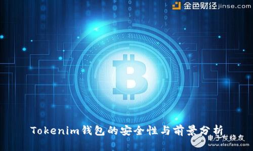 Tokenim钱包的安全性与前景分析