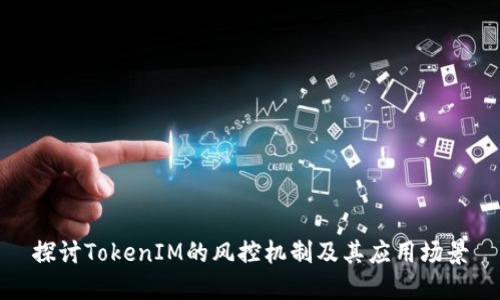 探讨TokenIM的风控机制及其应用场景