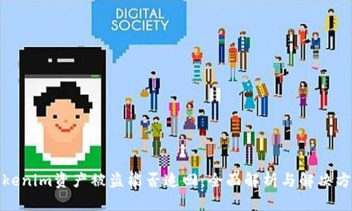 Tokenim资产被盗能否追回：全面解析与解决方案