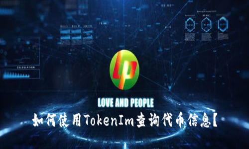 如何使用TokenIm查询代币信息？