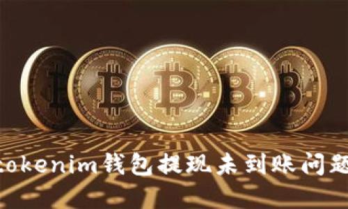 解决Tokentokenim钱包提现未到账问题的完整指南