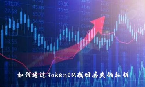 如何通过TokenIM找回丢失的私钥