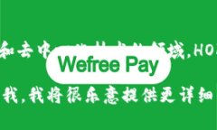 当然可以，HOK（即Holocha