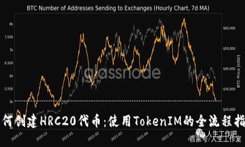 如何创建HRC20代币：使用TokenIM的全流程指南