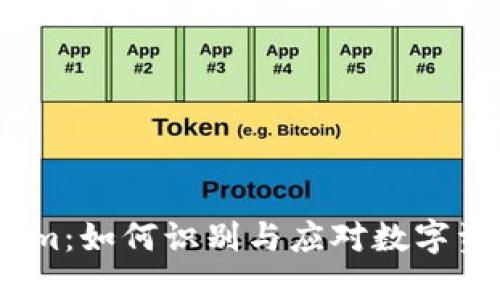  Tokenim：如何识别与应对数字资产风险
