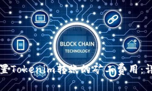 如何设置Tokenim转账的矿工费用：详细指南