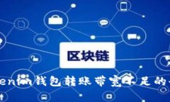 解决Tokenim钱包转账带宽不