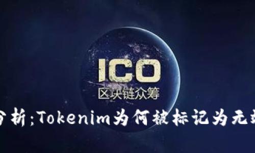 深入分析：Tokenim为何被标记为无效地址