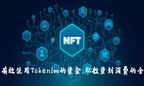 : 如何有效使用Tokenim的资金：从投资到消费的全面指南