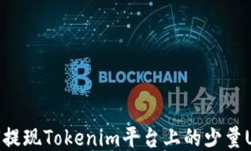 
如何提现Tokenim平台上的少量USDT