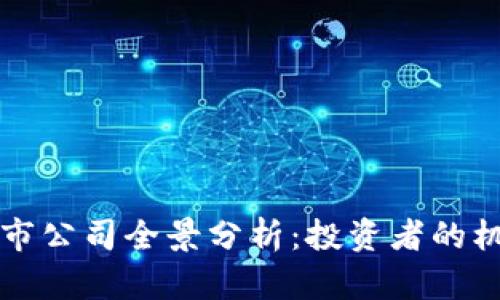 区块链上市公司全景分析：投资者的机会与挑战