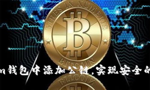 如何在Tokenim钱包中添加公链，实现安全的数字资产管理