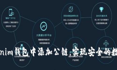 如何在Tokenim钱包中添加公链，实现安全的数字资产管理