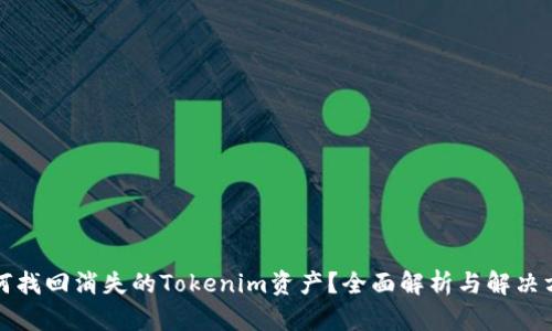 如何找回消失的Tokenim资产？全面解析与解决方案