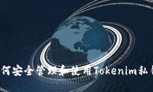 如何安全管理和使用Tokenim私钥？