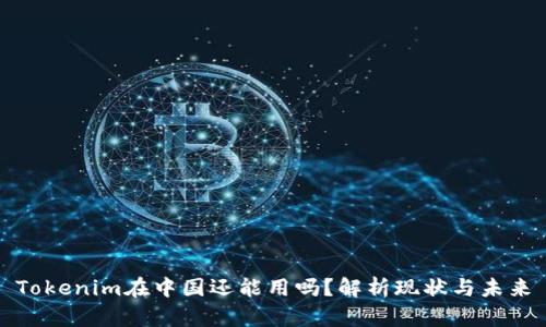 Tokenim在中国还能用吗？解析现状与未来