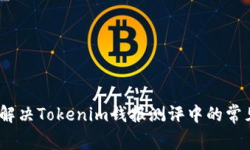 : 如何解决Tokenim钱报测评中的常见问题？