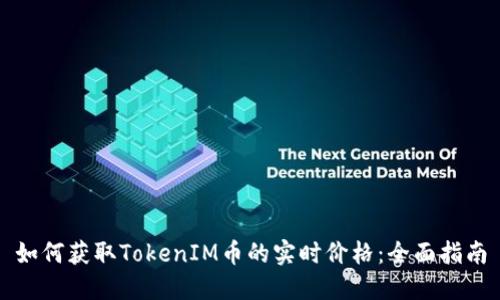 如何获取TokenIM币的实时价格：全面指南
