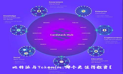 比特派与Tokenim：哪个更值得投资？