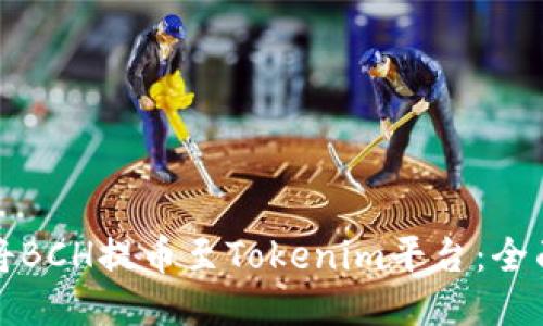如何将BCH提币至Tokenim平台：全面指南