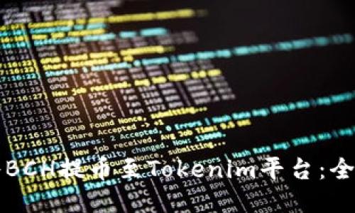 如何将BCH提币至Tokenim平台：全面指南