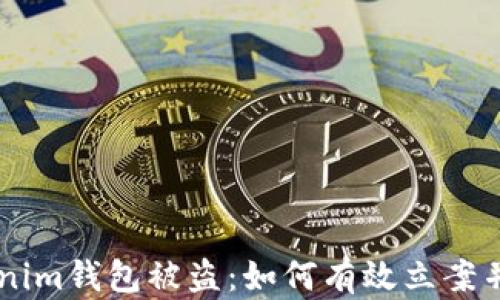 
Tokentokenim钱包被盗：如何有效立案并保护资产?