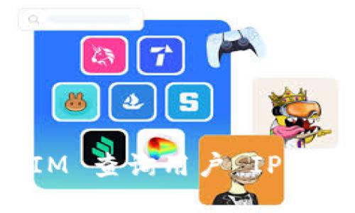 如何使用 TokenIM 查询用户 IP 地址并提升安全性