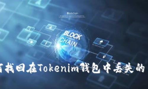  如何找回在Tokenim钱包中丢失的币种？