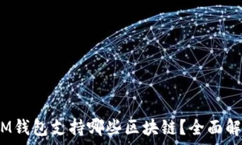   
TokenTokenIM钱包支持哪些区块链？全面解析及使用指南