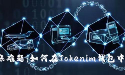 : 破解跨链转账难题：如何在Tokenim钱包中顺利转移USDT