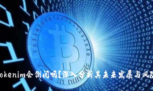 Tokenim会倒闭吗？深入分析其未来发展与风险