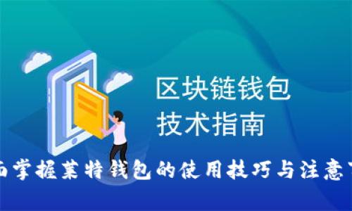 全面掌握莱特钱包的使用技巧与注意事项