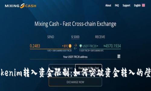 Tokenim转入资金限制：如何突破资金转入的壁垒