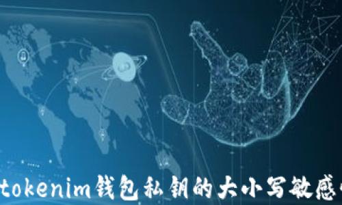 
Tokentokenim钱包私钥的大小写敏感性详解