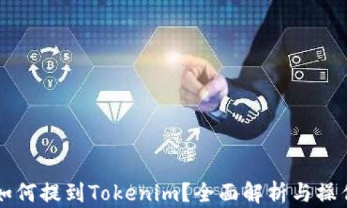 
猪币如何提到Tokenim？全面解析与操作指南