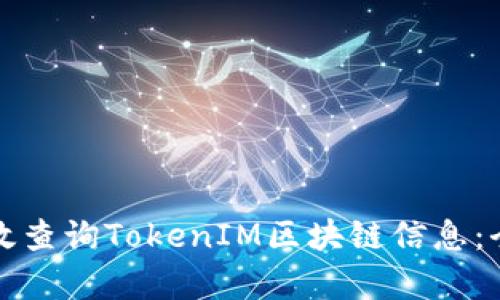 如何有效查询TokenIM区块链信息：全面指南