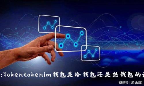 深入探讨：Tokentokenim钱包是冷钱包还是热钱包的最佳选择？