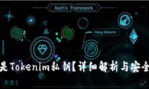 什么是Tokenim私钥？详细解析与安全防护