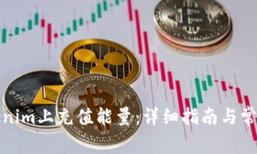 如何在Tokenim上充值能量：详细指南与常见问题解答