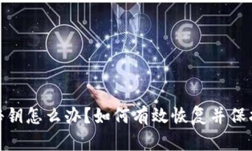 丢失Tokenim秘钥怎么办？如何有效恢复并保护你的数字资产